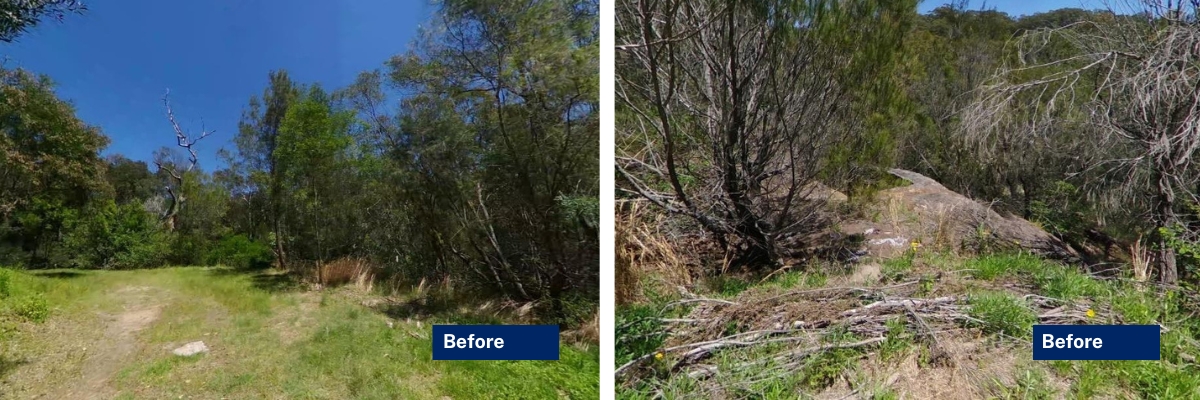 Cowan Quarry before and after