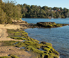 Howley-Park-reserve