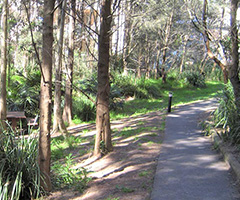 Talus Street Reserve