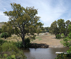 View of former Prince Alfred timber viaduct route