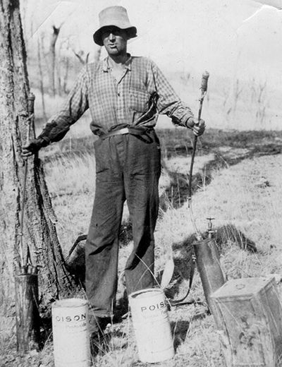 A prickly pear spray operator from the 1930s. A prickly pear spray operator from the 1930s.