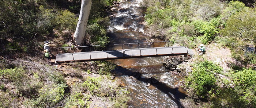 Foot bridge over Micalong Creek