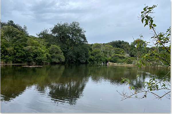 View of colliery dam water