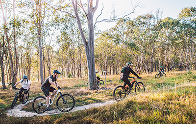Men mountain bike riding