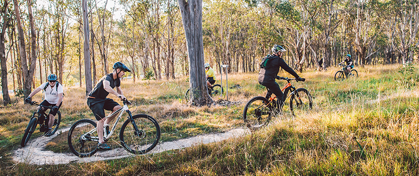 Dungog commons