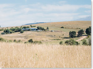 House in rural setting on a hill