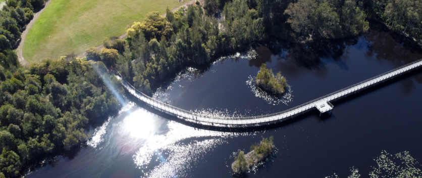Aerial view of footbridge over wetlands.