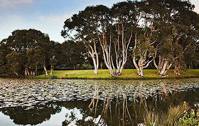 Wetlands