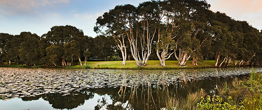 Park with wetlands