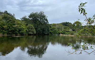 Burwood Colliery dam