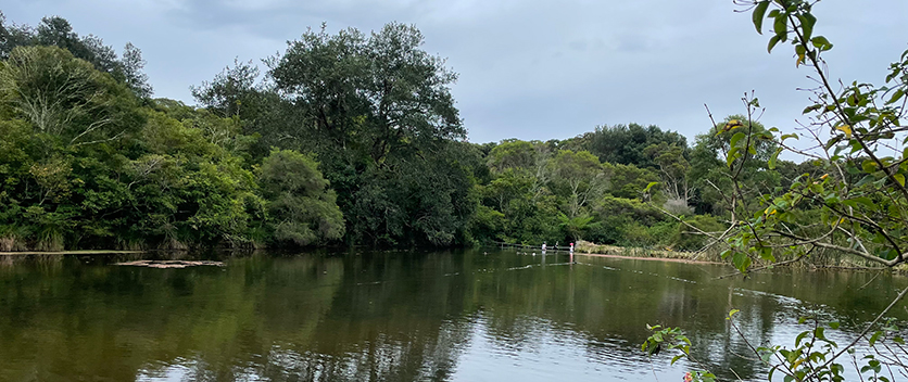 Burwood colliery dam