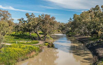 The scenic Namoi River in Walgett in country NSW. Credit: Destination NSW
