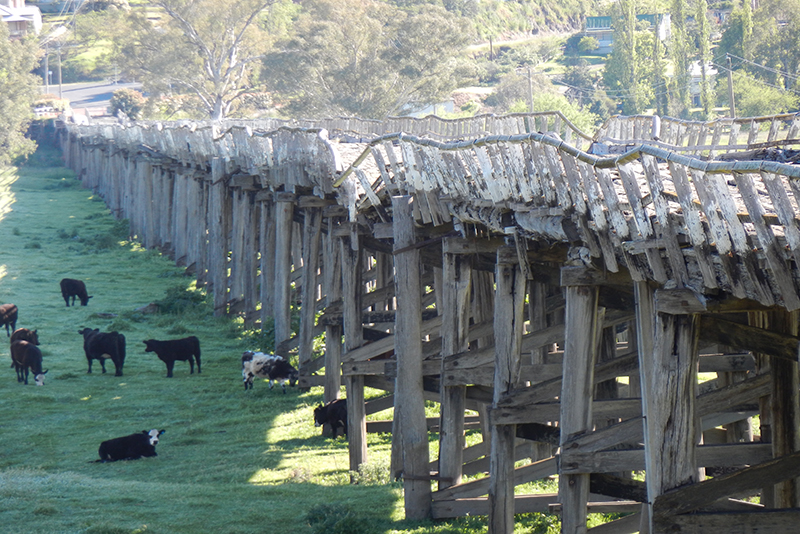 Former Prince Alfred Road Viaduct