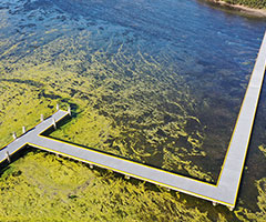 Aerial view of Purry Burry Jetty