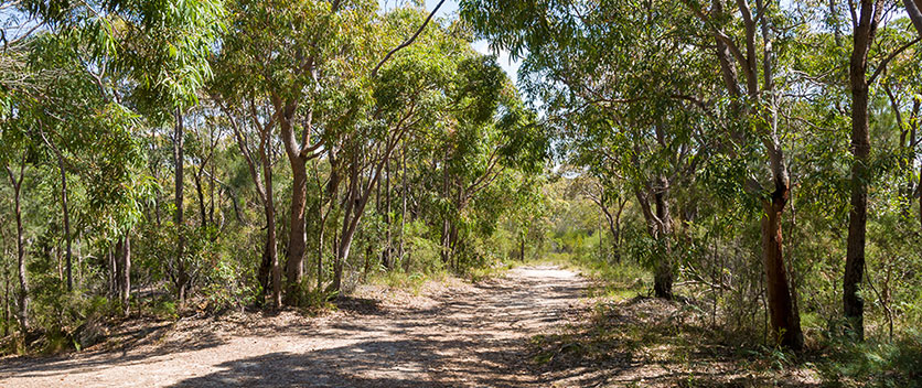 Dirt road in Crown land