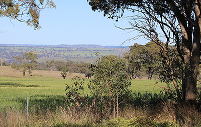 Western NSW landscape