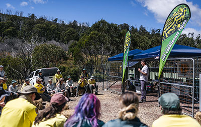 National Parks and Wildlife Service staff including Aboriginal rangers release Corroboree Frogs in Kosciusko National Park