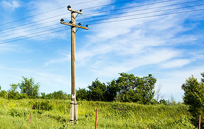 Telegraph pole in field