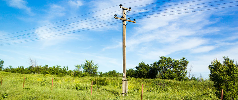Telegraph pole in field