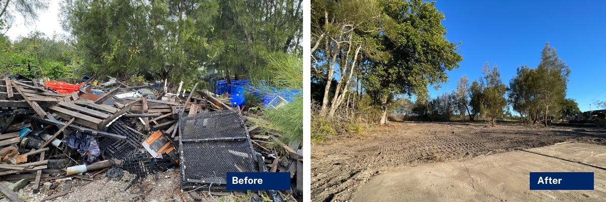 Long Island Wallis Lake before and after