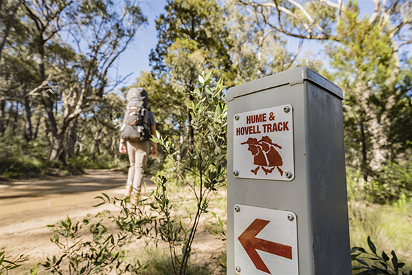 Hume and Hovell Track
