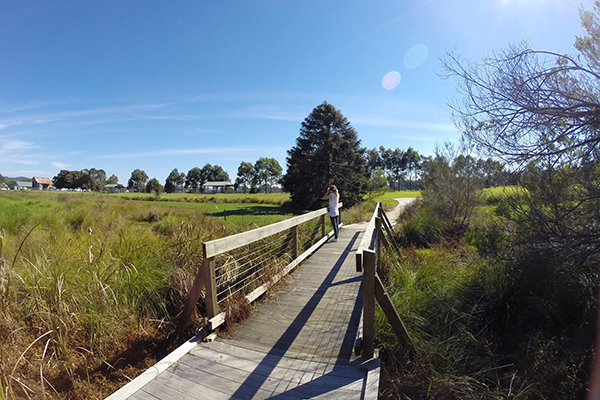 Central Coast Wetlands Dairy