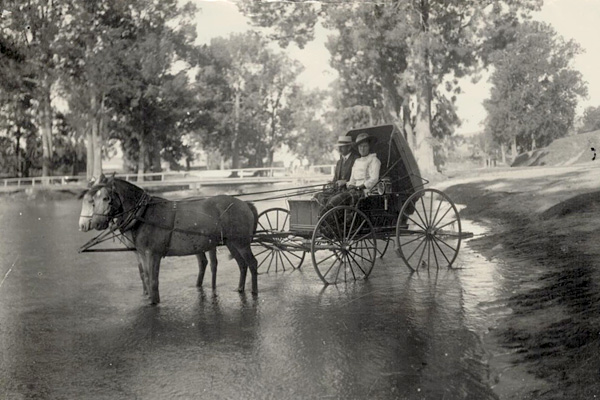 An historic photo of horse and buggy with the river gums.