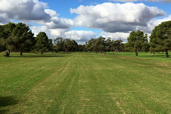 Hillston Golf Club post upgrade