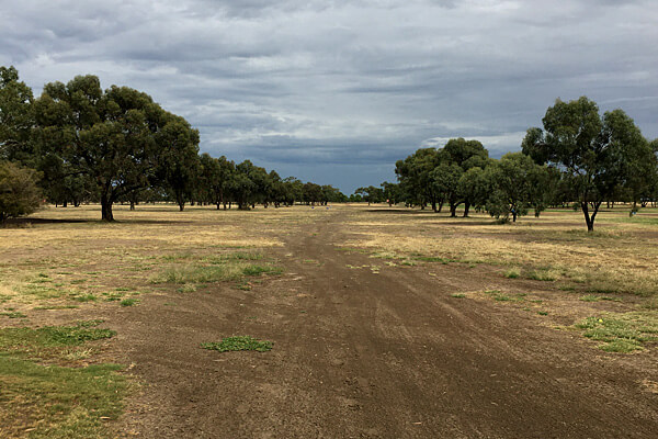 Hillston Golf Club pre upgrade