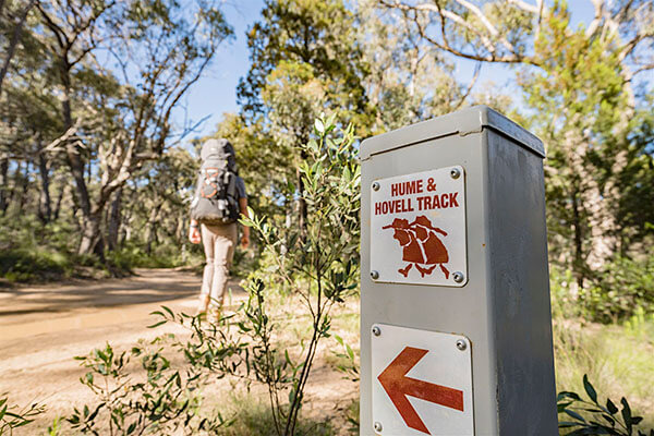 Samuel Bollard Campsite, Hume and Hovell Track. Credit: Matt Beaver Photography