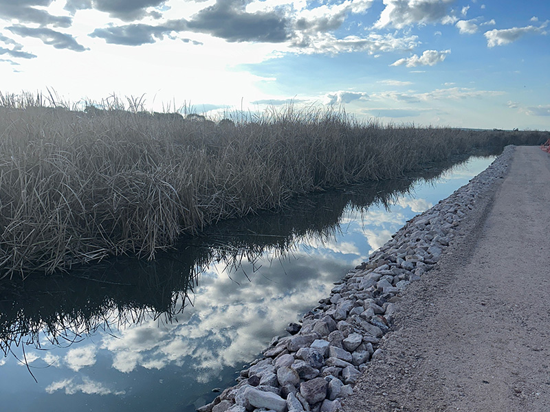 Wetlands work completed