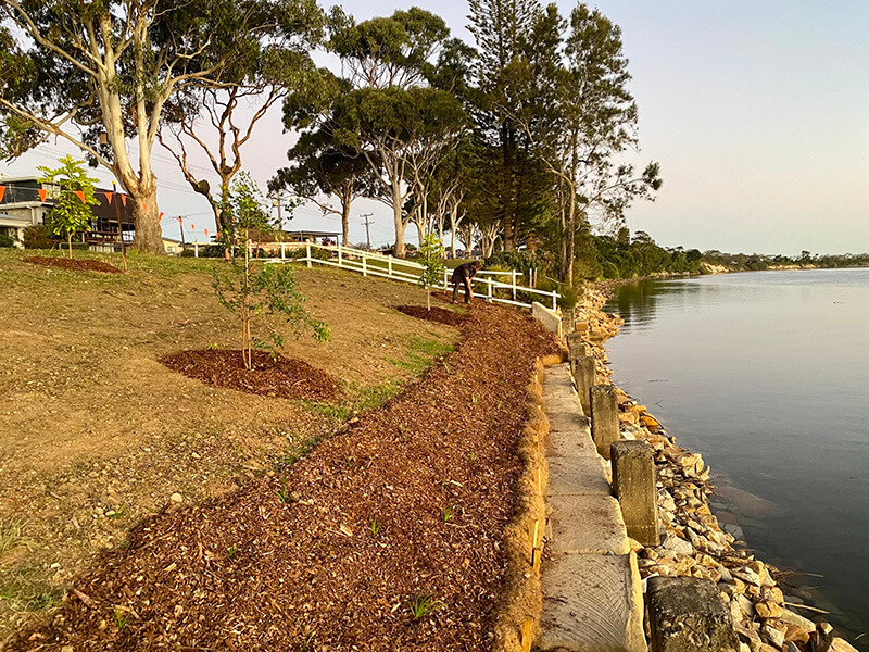 Bellinger River foreshore at Mylestrom