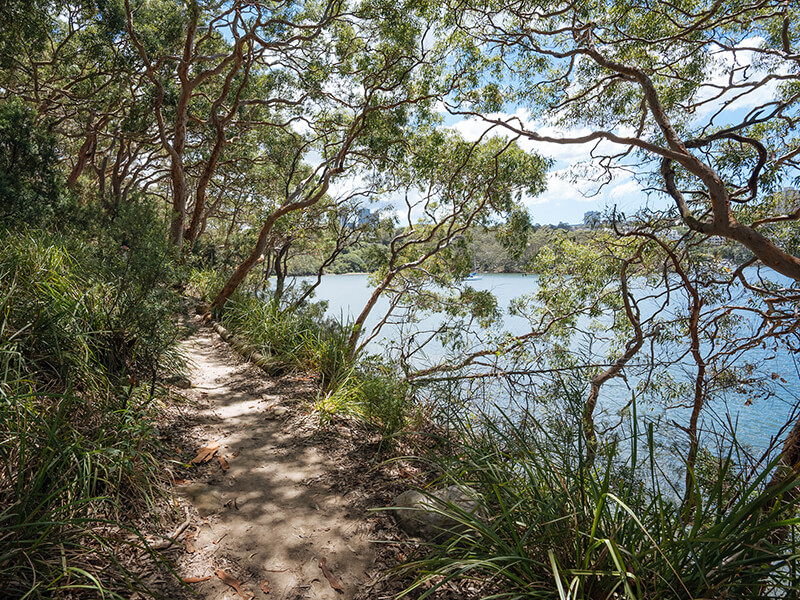 Badangi reserve walking track