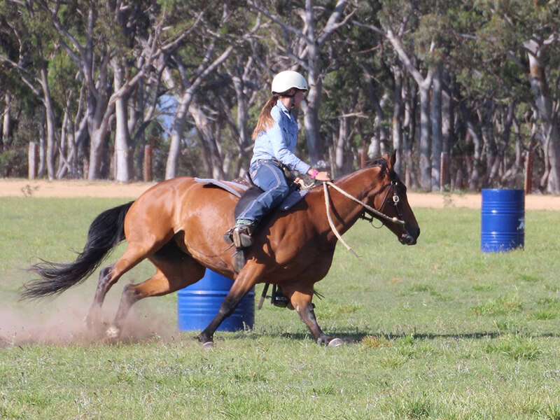Gymkhana Competitor