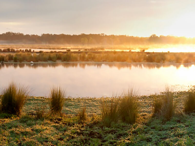 Sunrise over the Central Coast Wetlands.