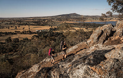 Hume and Hovell Track - Big Budginigi Hill. Credit: Matt Beacher Photography