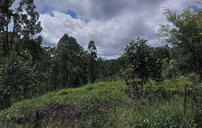 View of land at Drake Village returned to Aboriginal Community