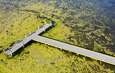 Aerial view of Purry Burry jetty in Lake Illawarra