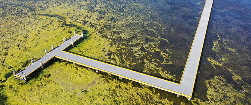 Aerial view of Purry Burry Jetty in the Lake Illawarra