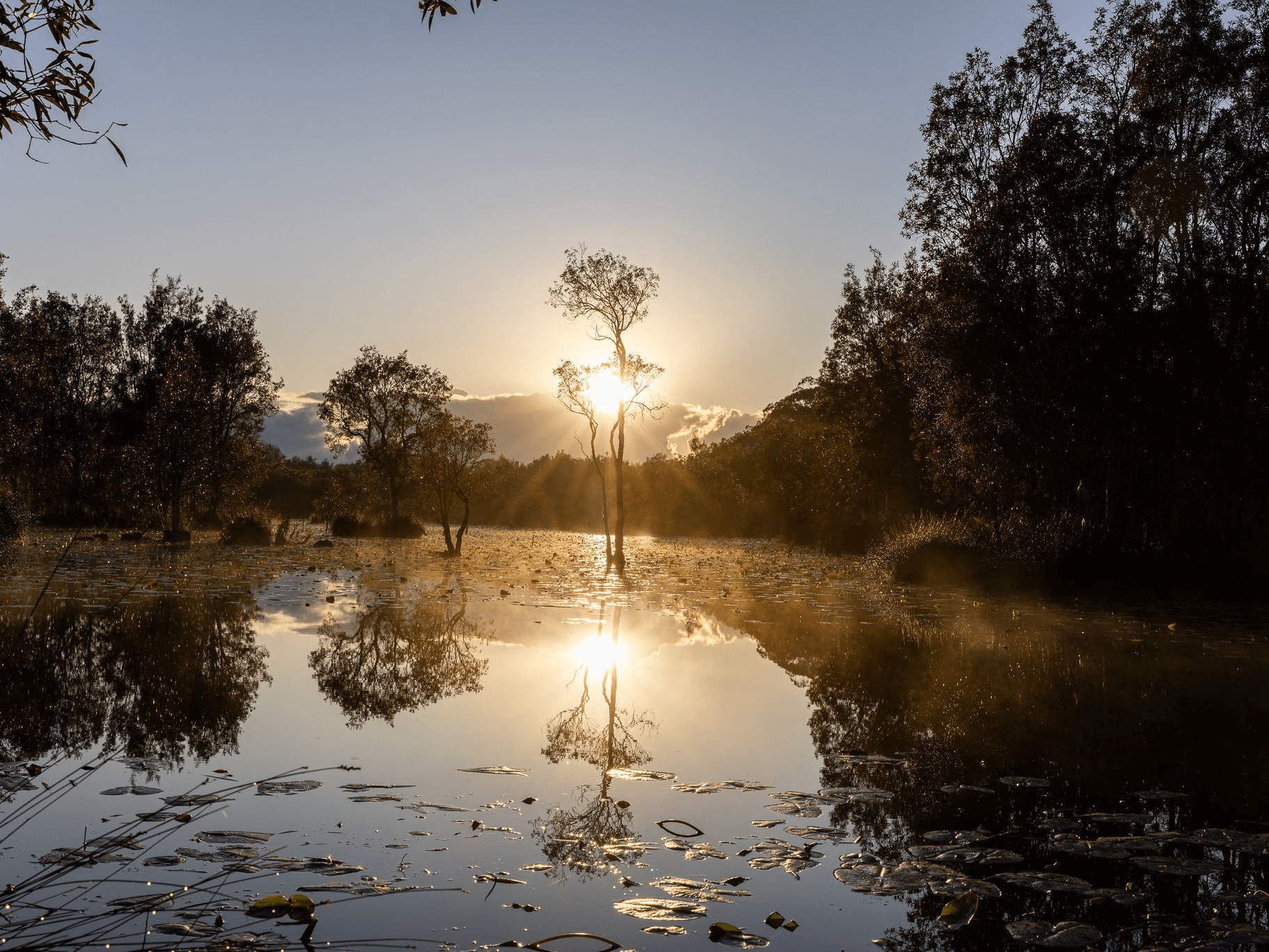$14 million for Crown land reserves improvement fund