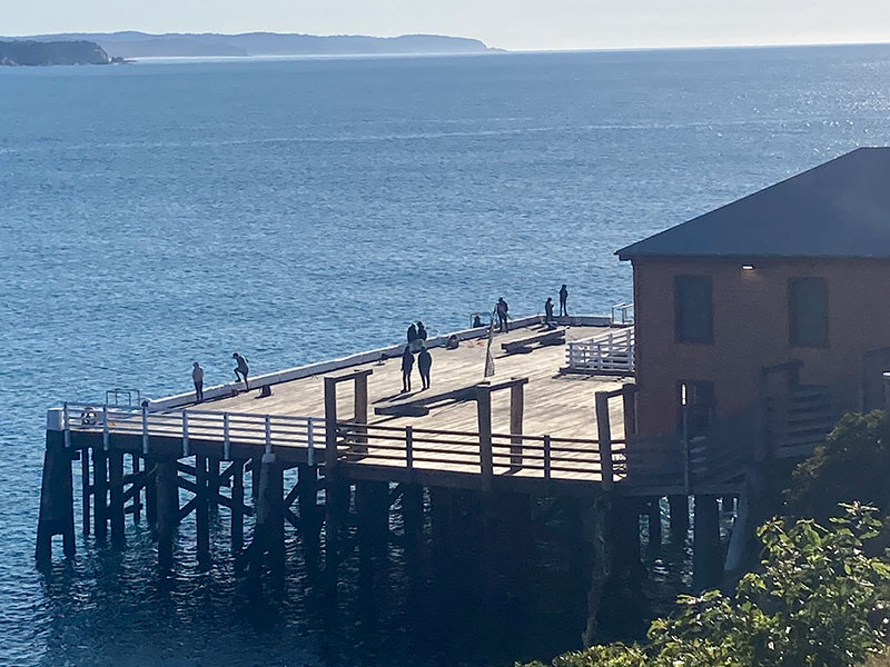 People standing on a wharf fishing