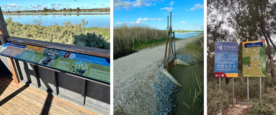 Fivebough Wetlands Reserve