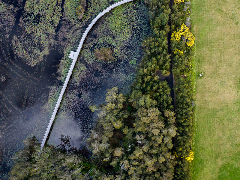 Aerial view of a dark body of water next to a large green open area. 