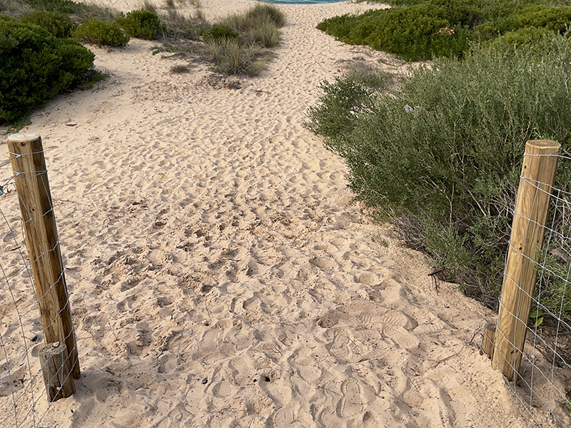 A sand path between shrubs leading towards a beach. There are two timber posts and wire fencing at the opening of the path.