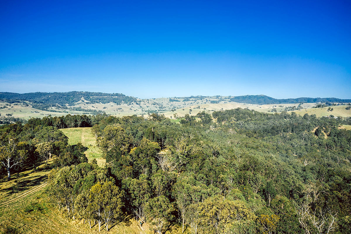 Landscape view of hills and bushland, Dungog Common NSW. Credit: Shannon Richmond / DPE