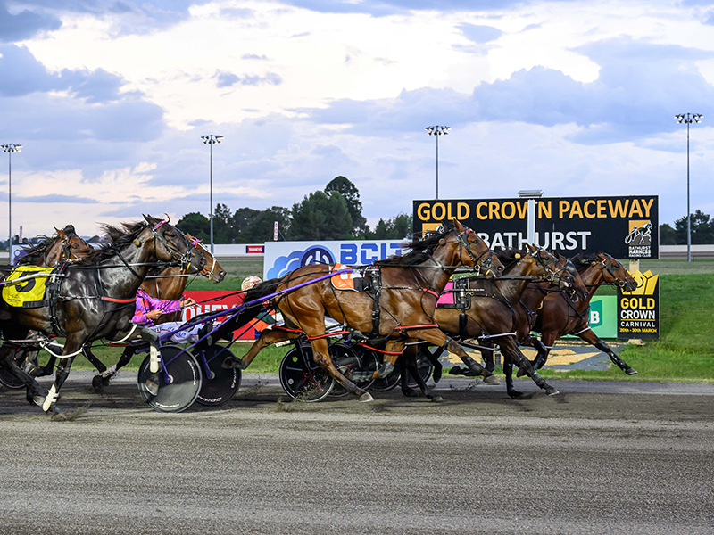 Bathurst horse racing. Credit: Brett Atkins