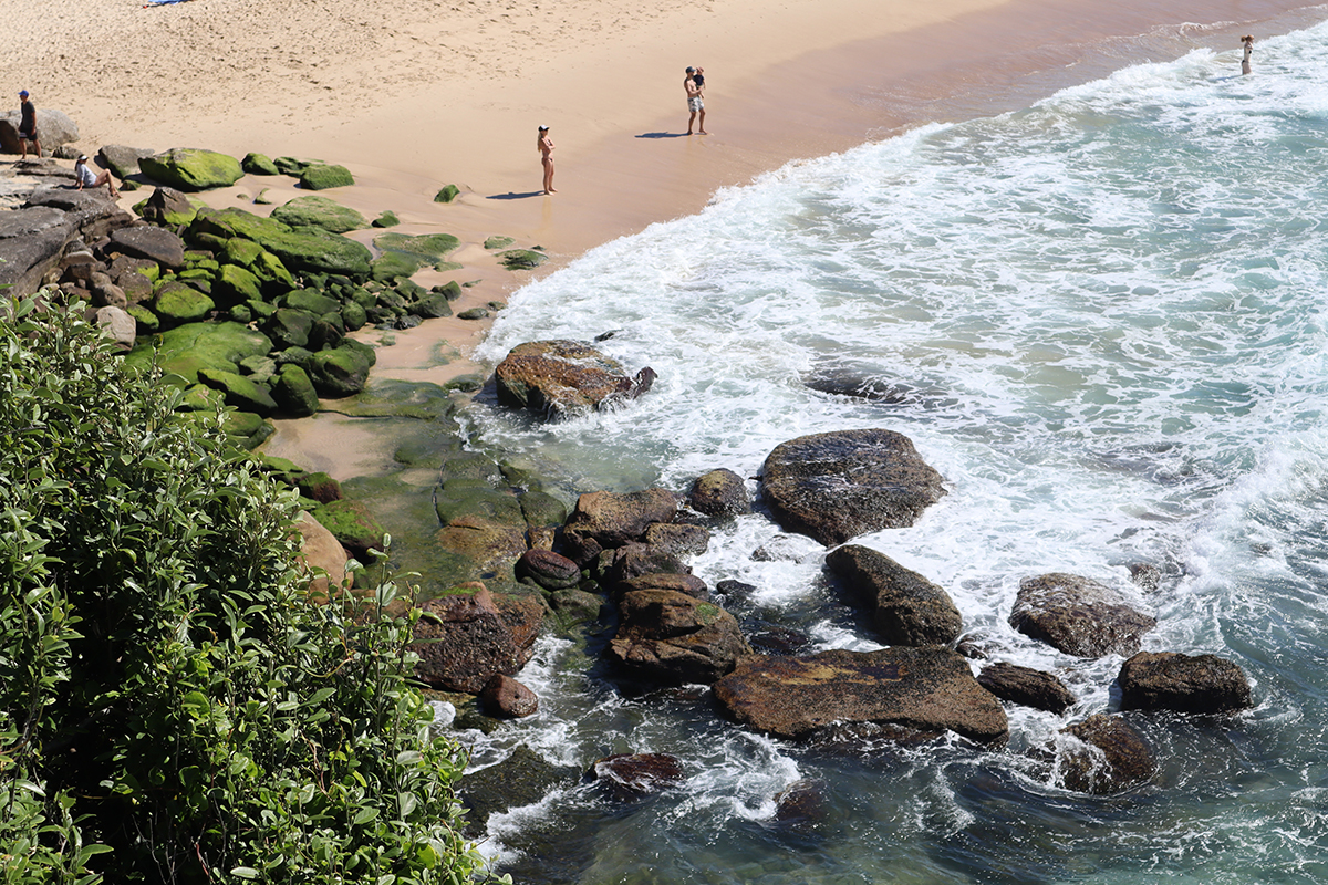 A family stands on a beach looking out into the ocean. There are coastal shrubs and rocks to the left. Credit: Camilla Theakstone.