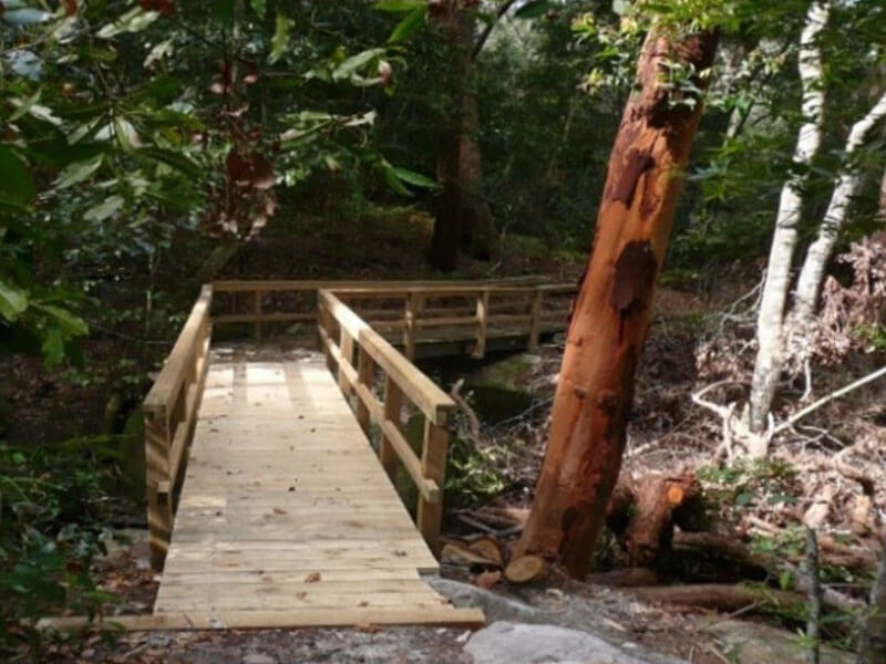 Wooden pathway into bushland sanctuary.
