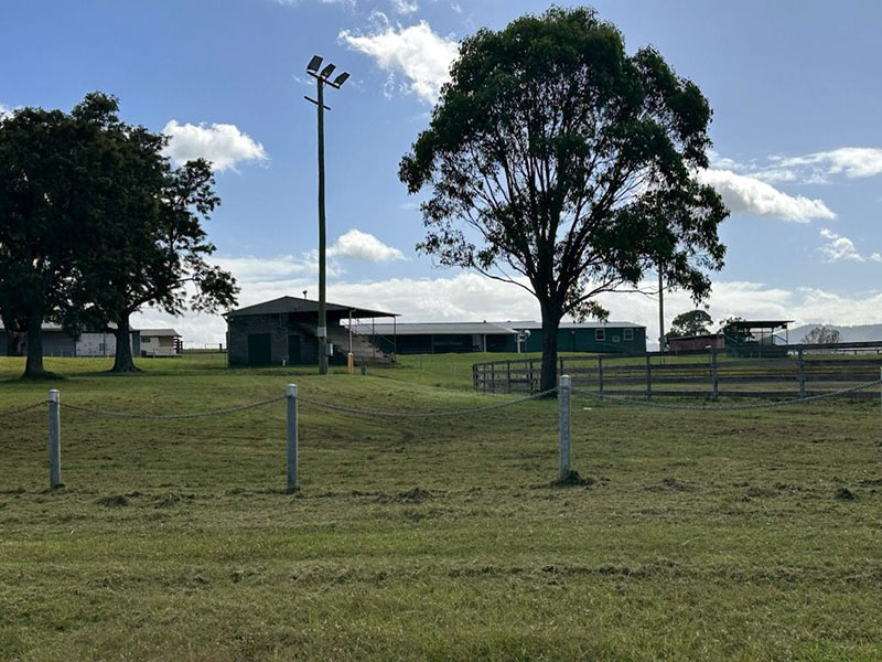 View of field with trees and showground buildings