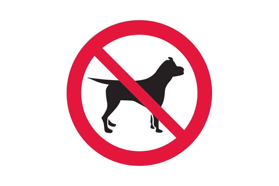 Signage preview for no dogs